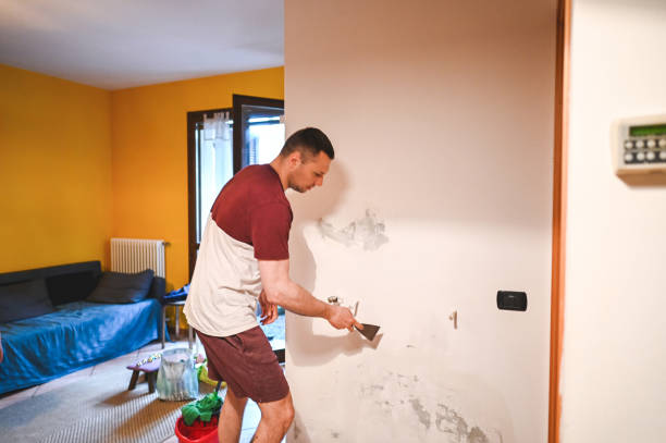 Best Mold Remediation  in Avoca, IA